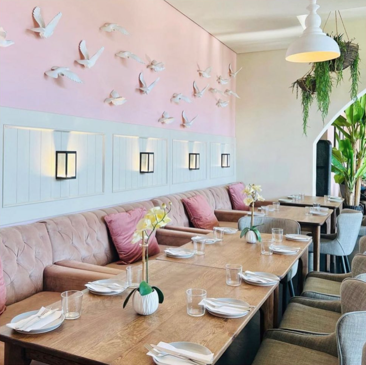 Guilt & Co. Cedar Square Johannesburg Diningcity.co.za