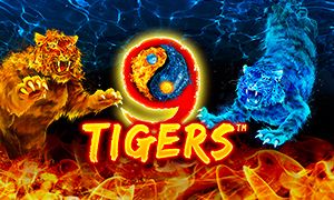 9 Tigers thumbnail
