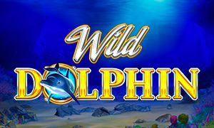 Wild Dolphin thumbnail