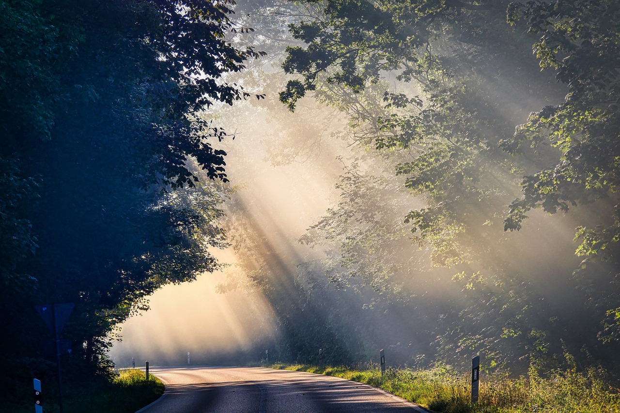 Rebound in Shadows