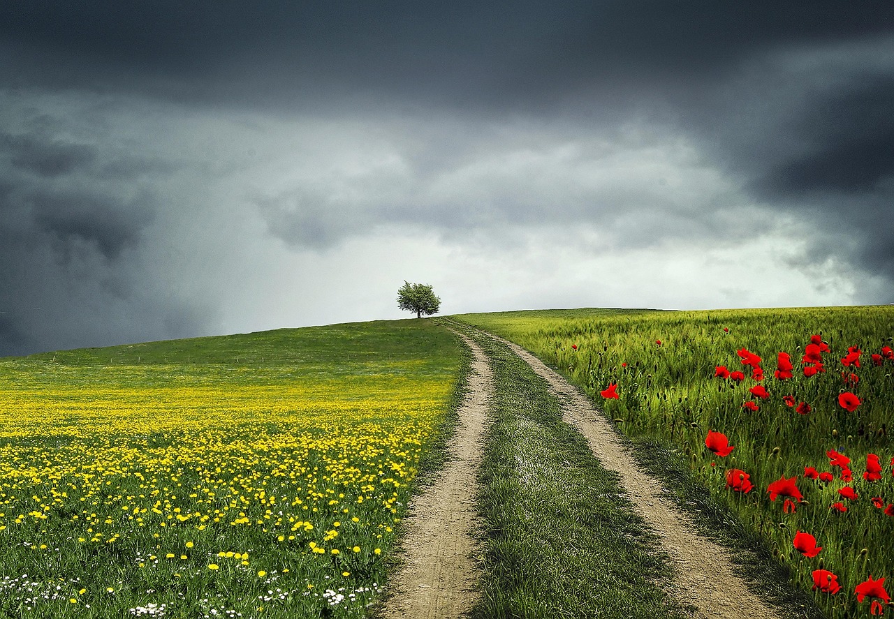 Walking with you in Life