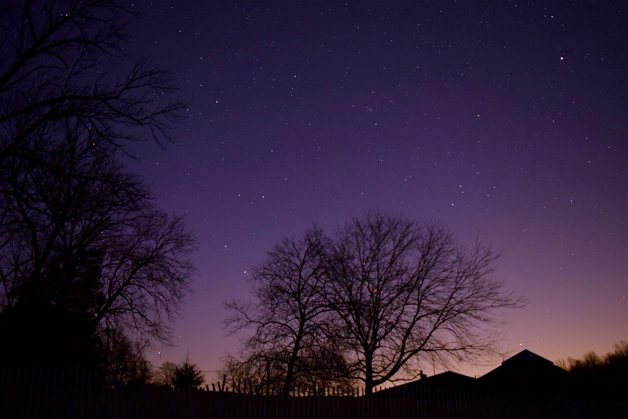 Infinite Night