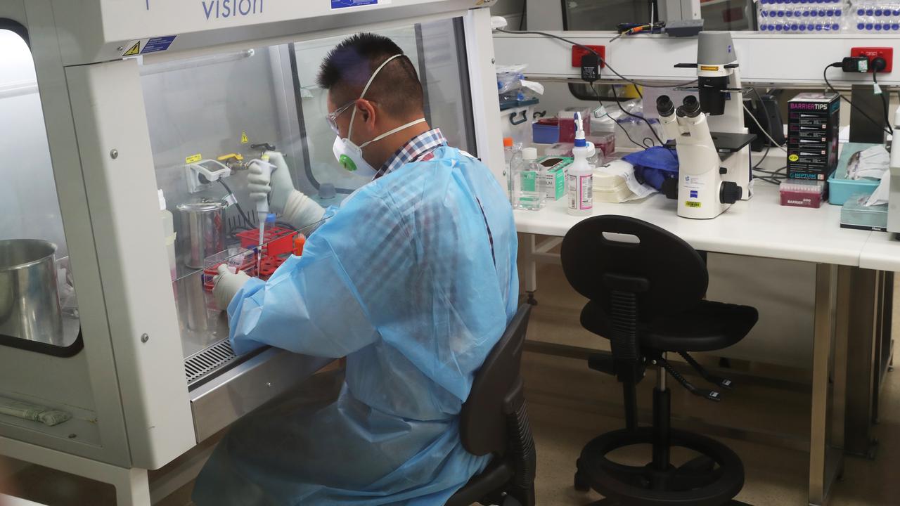 A scientist at the Doherty Institute in Melbourne (file image)