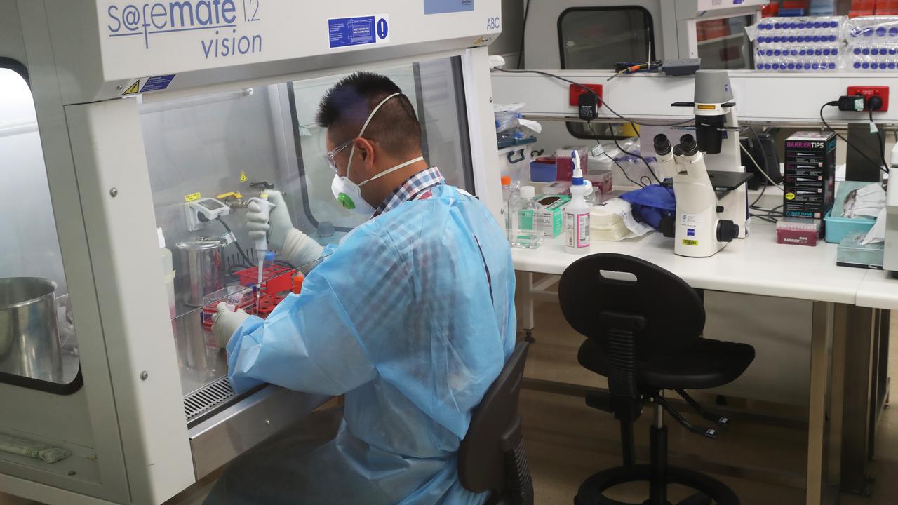 A scientist at the Doherty Institute in Melbourne (file image)