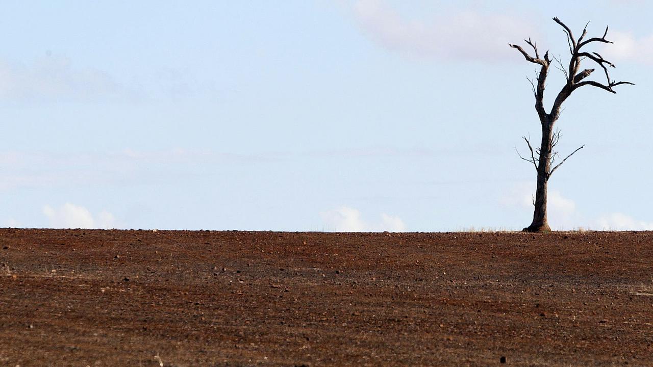 Drought at Wallandbeen in the NSW Southern Tablelands