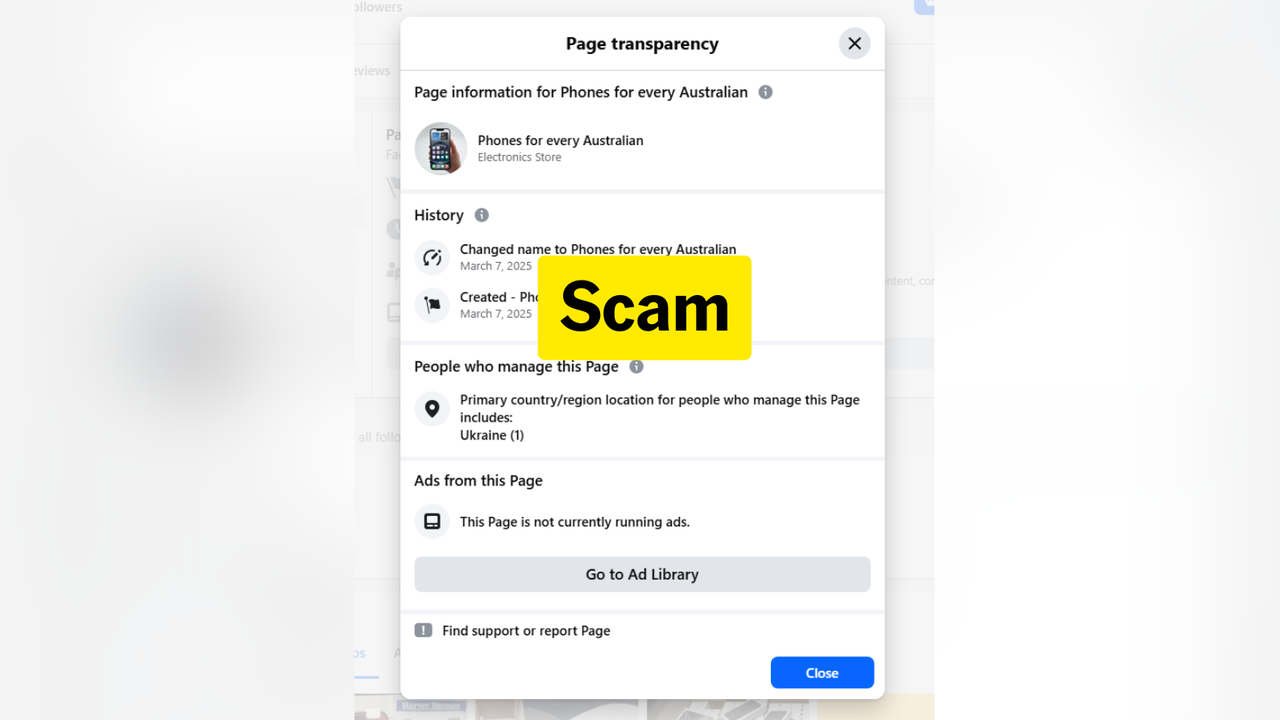 One of the pages featuring the scam.
