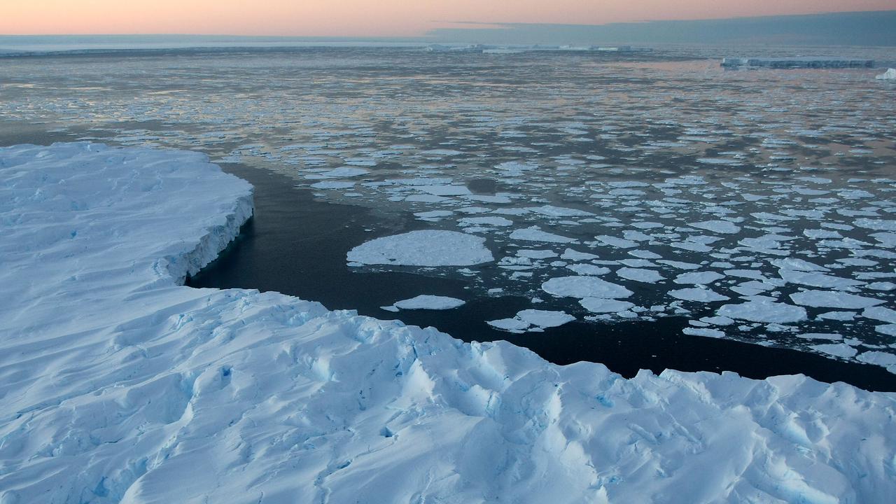 Icebergs surrounded by ice floe drift