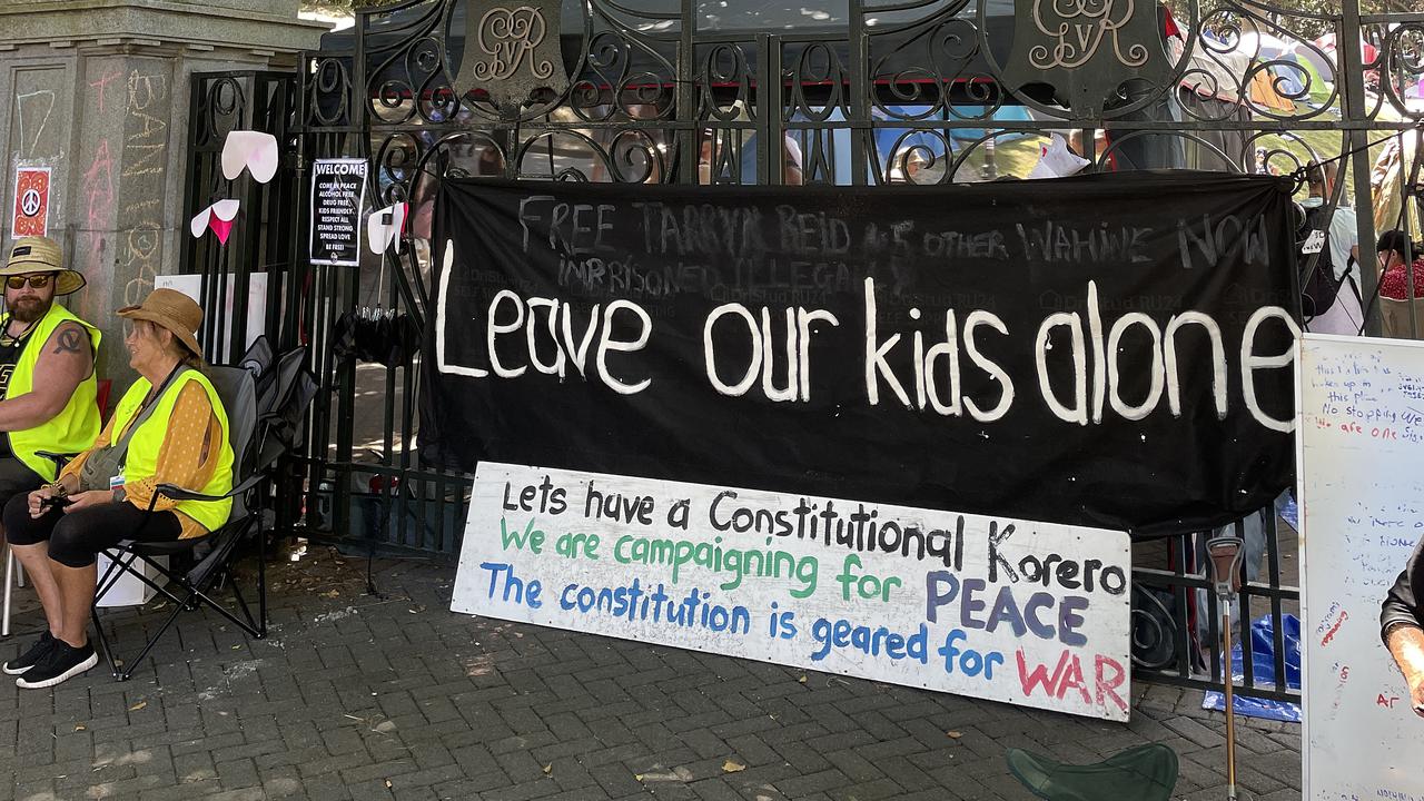Anti-vaccine protesters in Wellington (file image)
