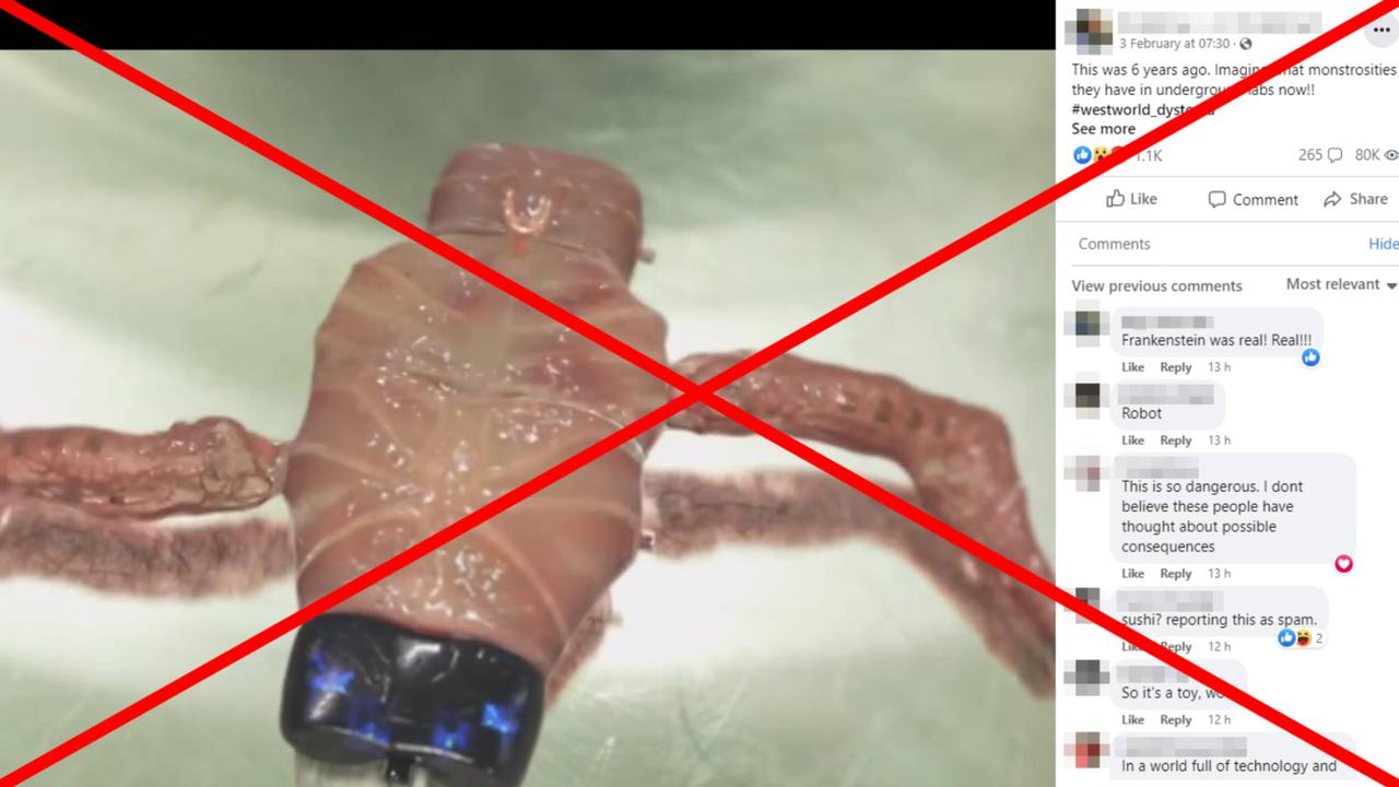 A screenshot from the Facebook video.