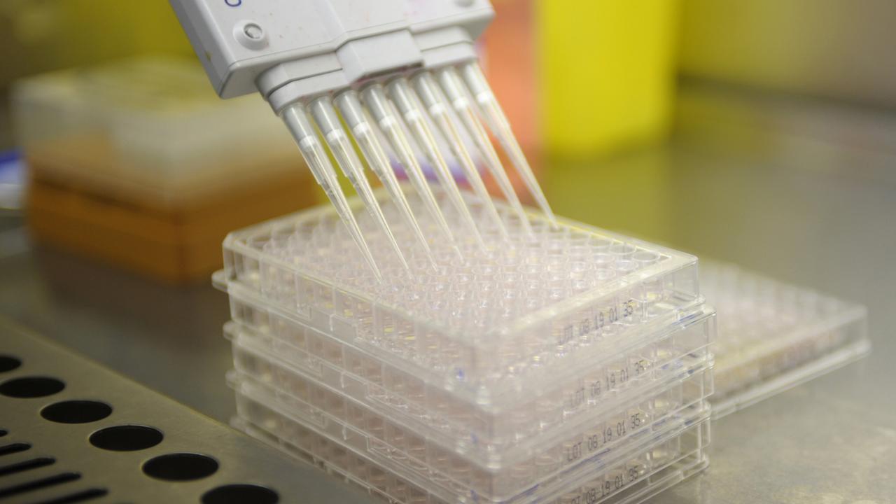 A medical research procedure in a lab.