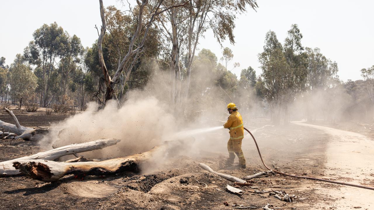A CFA firefighter tackles a bushfire.