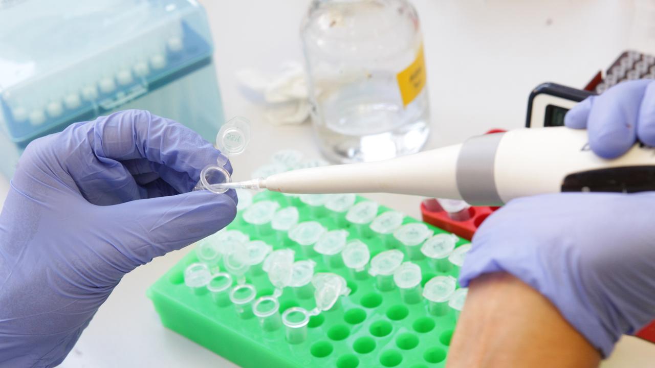 A scientist works in a lab, St Vincent's Institute Melbourne 2013