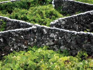 Açores: vinhos vulcânicos e marítimos