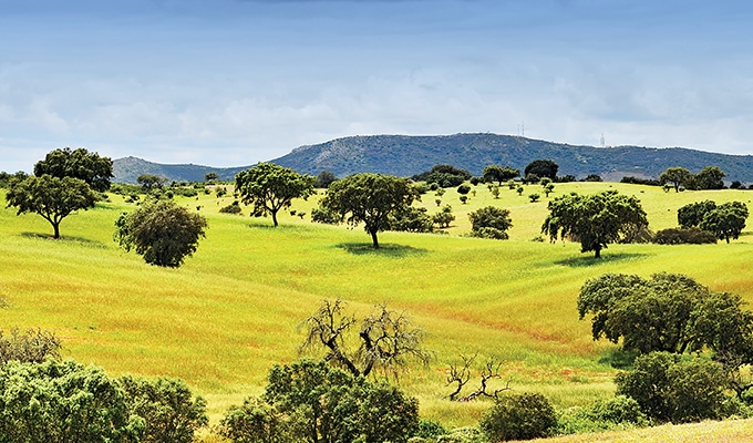 No Alentejo, há 8 sub-regiões para descobrir