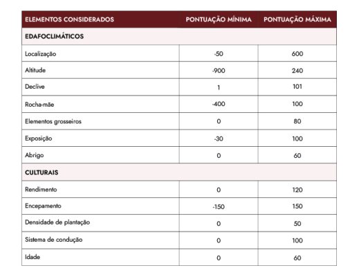 Terroir vinhas Douro