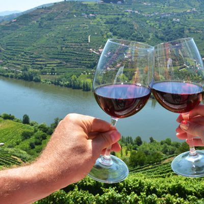Vinhos do Douro: tradição de uma região