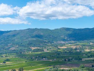 vinhos da beira interior