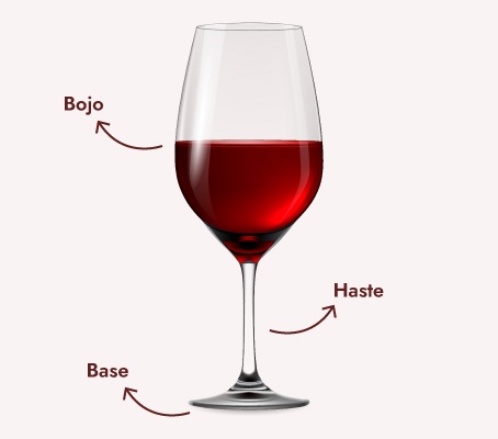 estrutura do copo de vinho