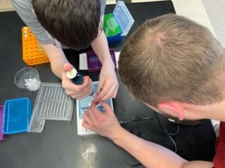 Groep 12 biotechnologiestudenten brachten een groot deel van de week door op Masconomet Regional Middle School in Boxford om les te geven aan 7e klassers