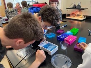 Biotechnologie-Schüler der 12. Klasse verbrachten einen Großteil der Woche an der Masconomet Regional Middle School in Boxford, wo sie die 7. Klasse unterrichteten