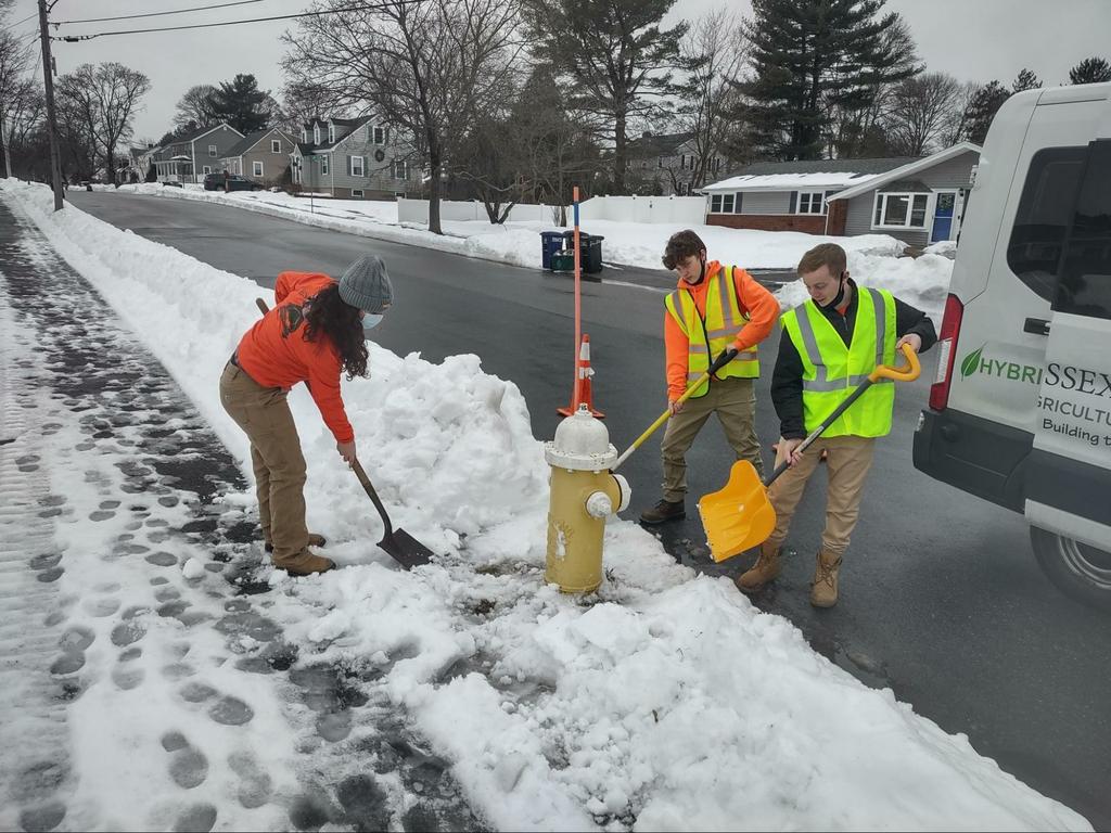 Fire Hydrant Clearing