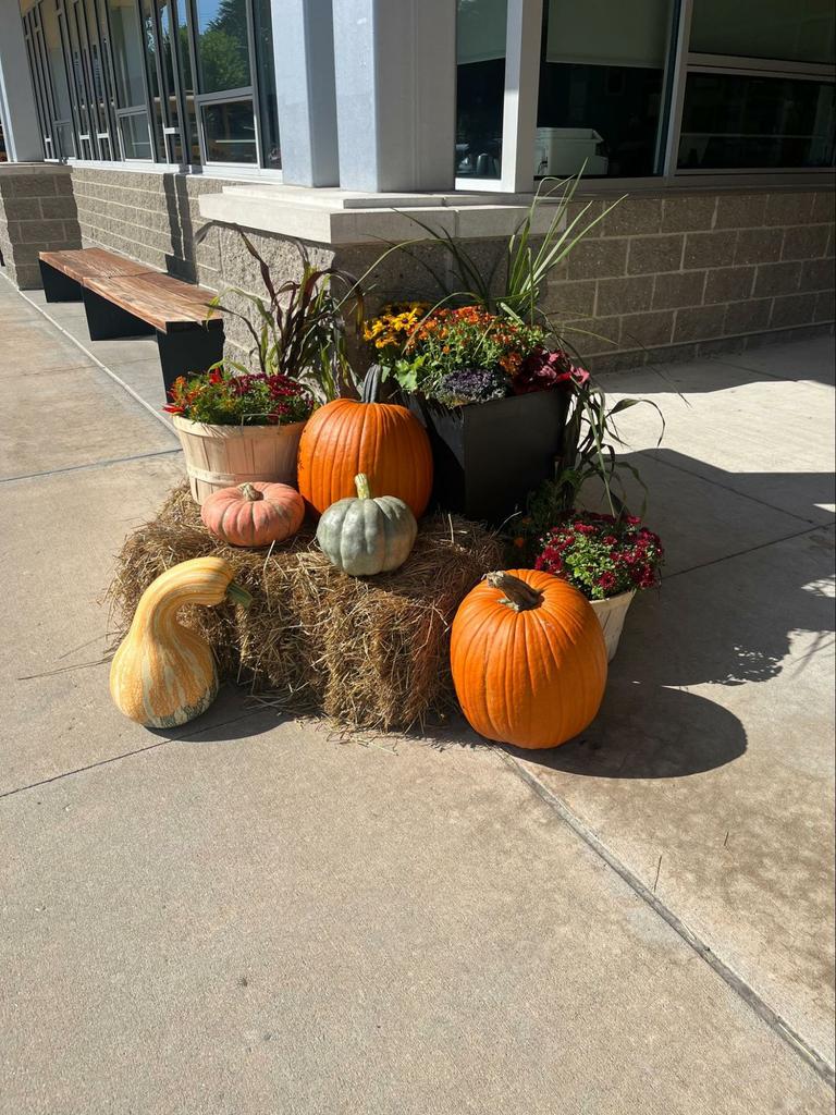 ¡Ya empieza a parecer un poco otoño! ¡Horticultura está haciendo un gran trabajo decorando el campus con calabazas cultivadas en el lugar!