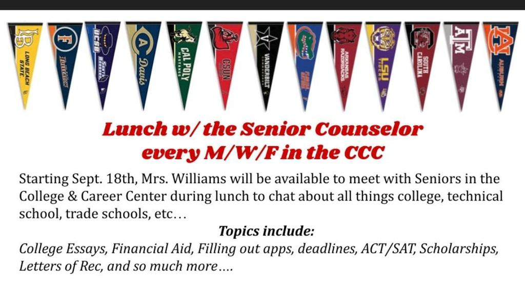 seniorcounselor