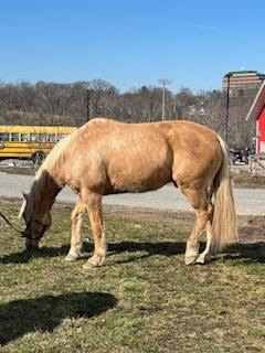 Picture of the Week We welcomed two new friends to our herd last week.