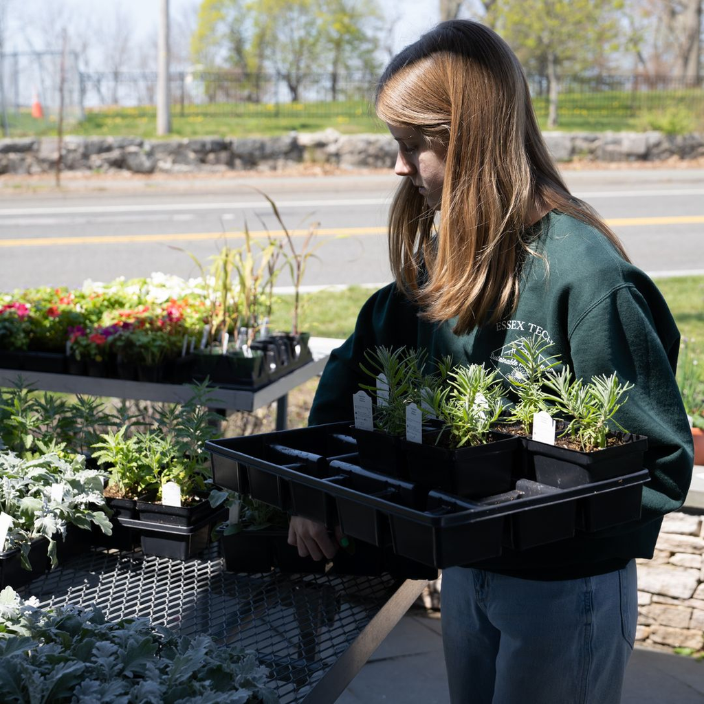 With the spring weather, more and more students are working outside on our beautiful campus.