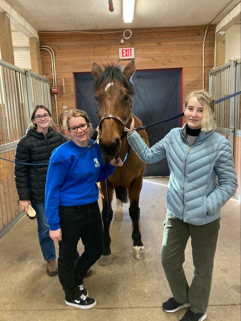 Le Beginner Equine Club a passé du temps dans la grange avec Mme Cook jeudi après-midi pour apprendre le toilettage des chevaux.