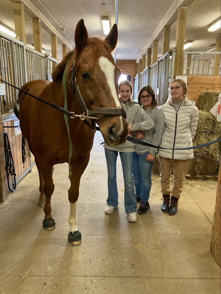 El Club Equino para Principiantes pasó algún tiempo en el establo con la Sra. Cook el jueves por la tarde aprendiendo sobre el cuidado de los caballos.