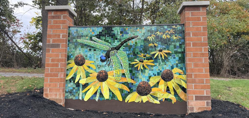 Dragonfly Mural
