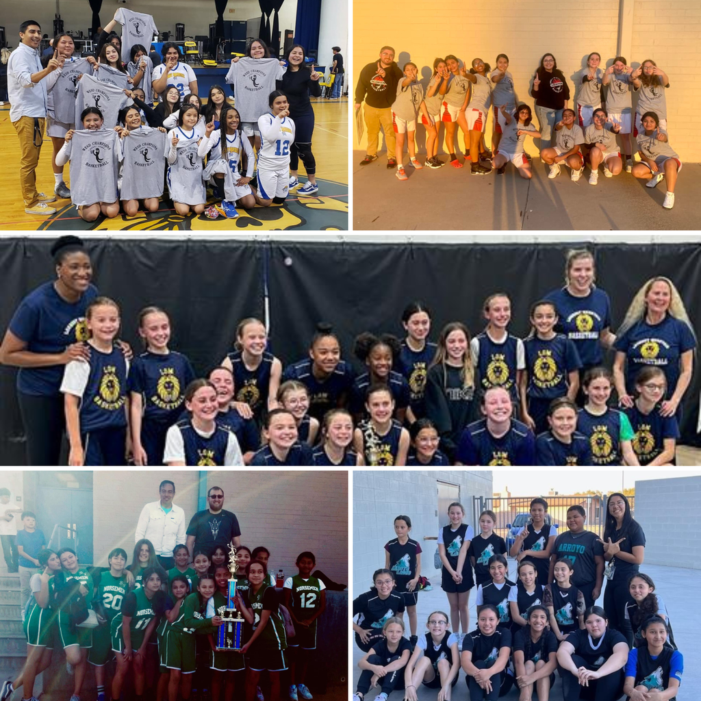 Girls Basketball Champs & Soccer Champs Collage