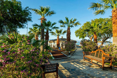 Charm Beach Hotel - All Inclusive Genel Görünüm 176