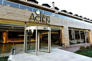 Abant Aden Boutique Hotel & Spa Genel Görünüm 291