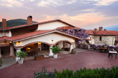 Vinifera Hotel Yedi Bilgeler Vineyards Genel Görünüm 526