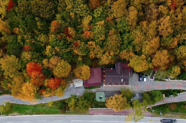 Abant Yayla Dağ Evi Genel Görünüm 171