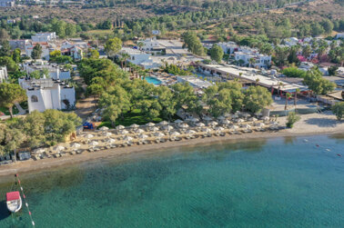 Regia Mare Beach Hotel Bodrum Genel Görünüm 236