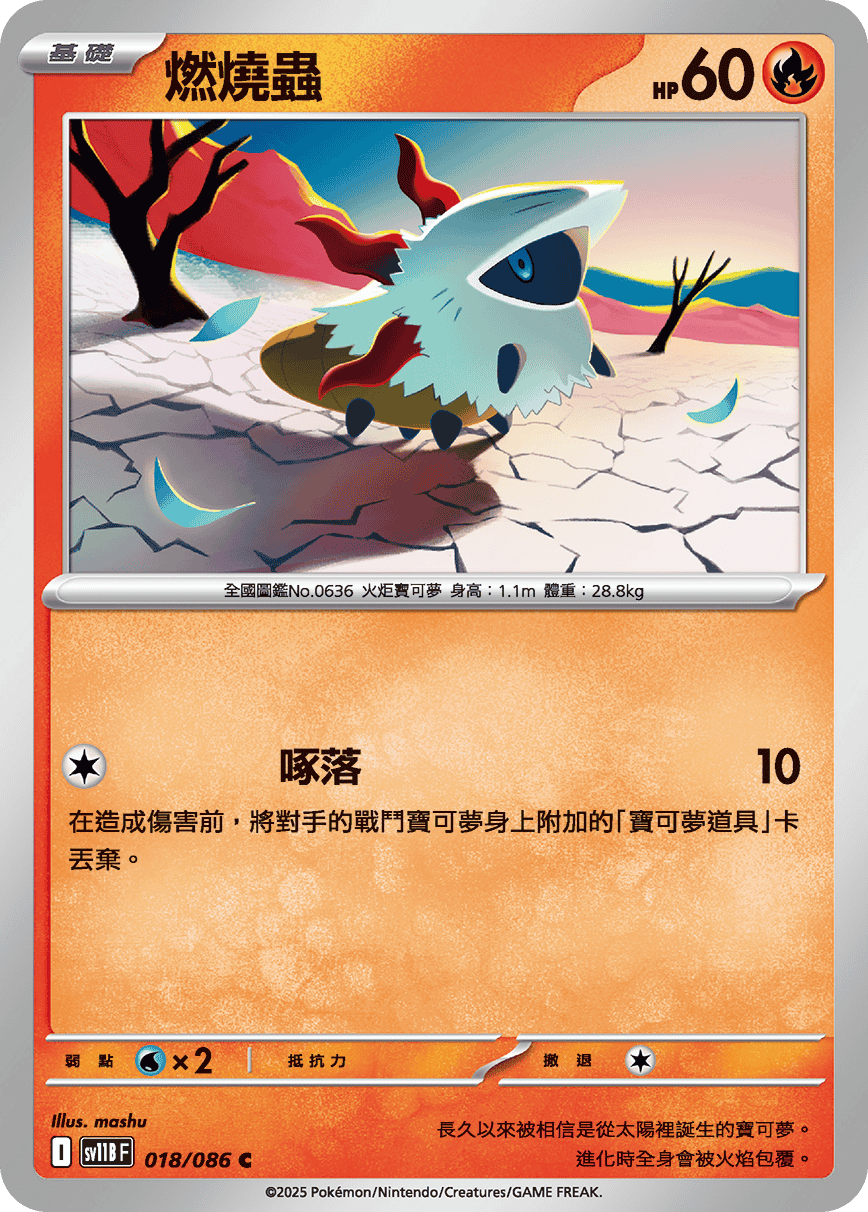 燃燒蟲