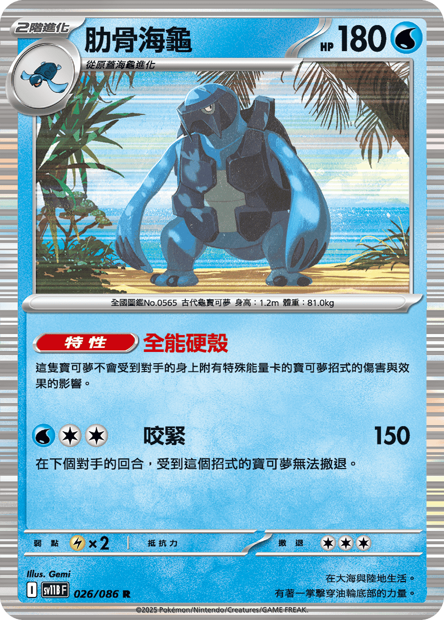肋骨海龜