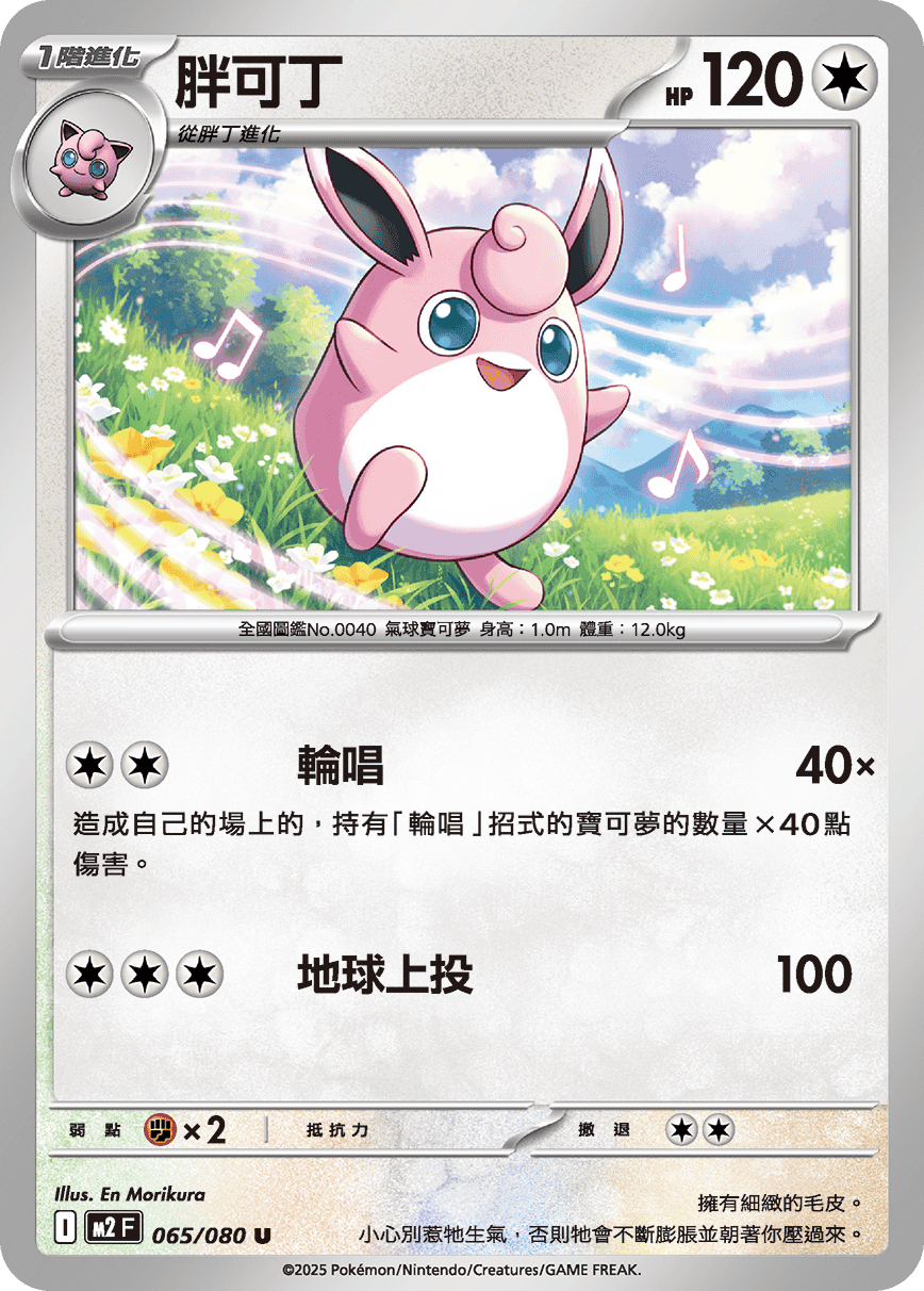 胖可丁