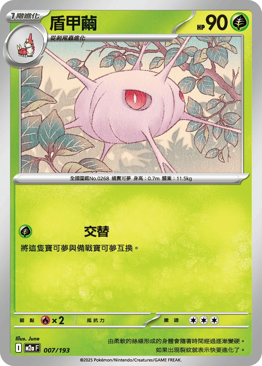 盾甲繭