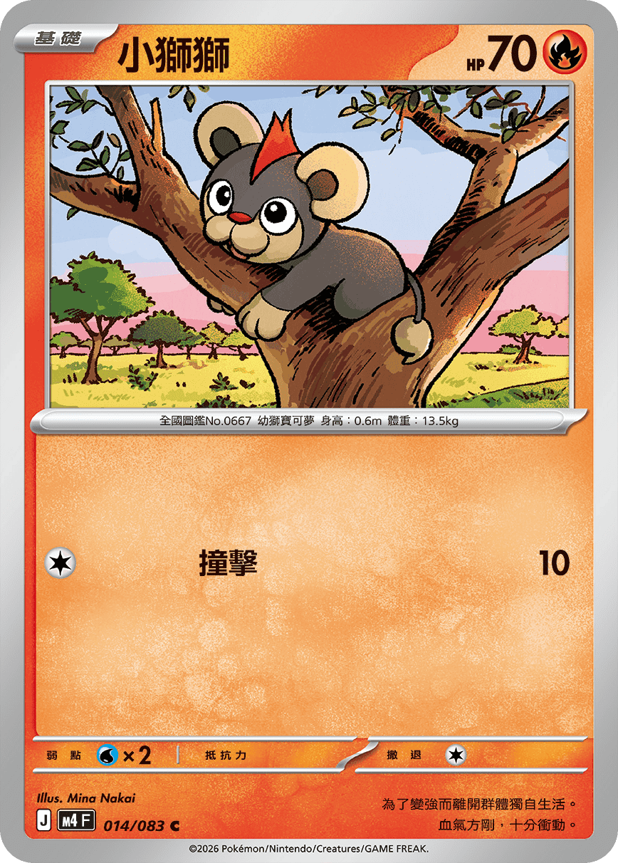 小獅獅