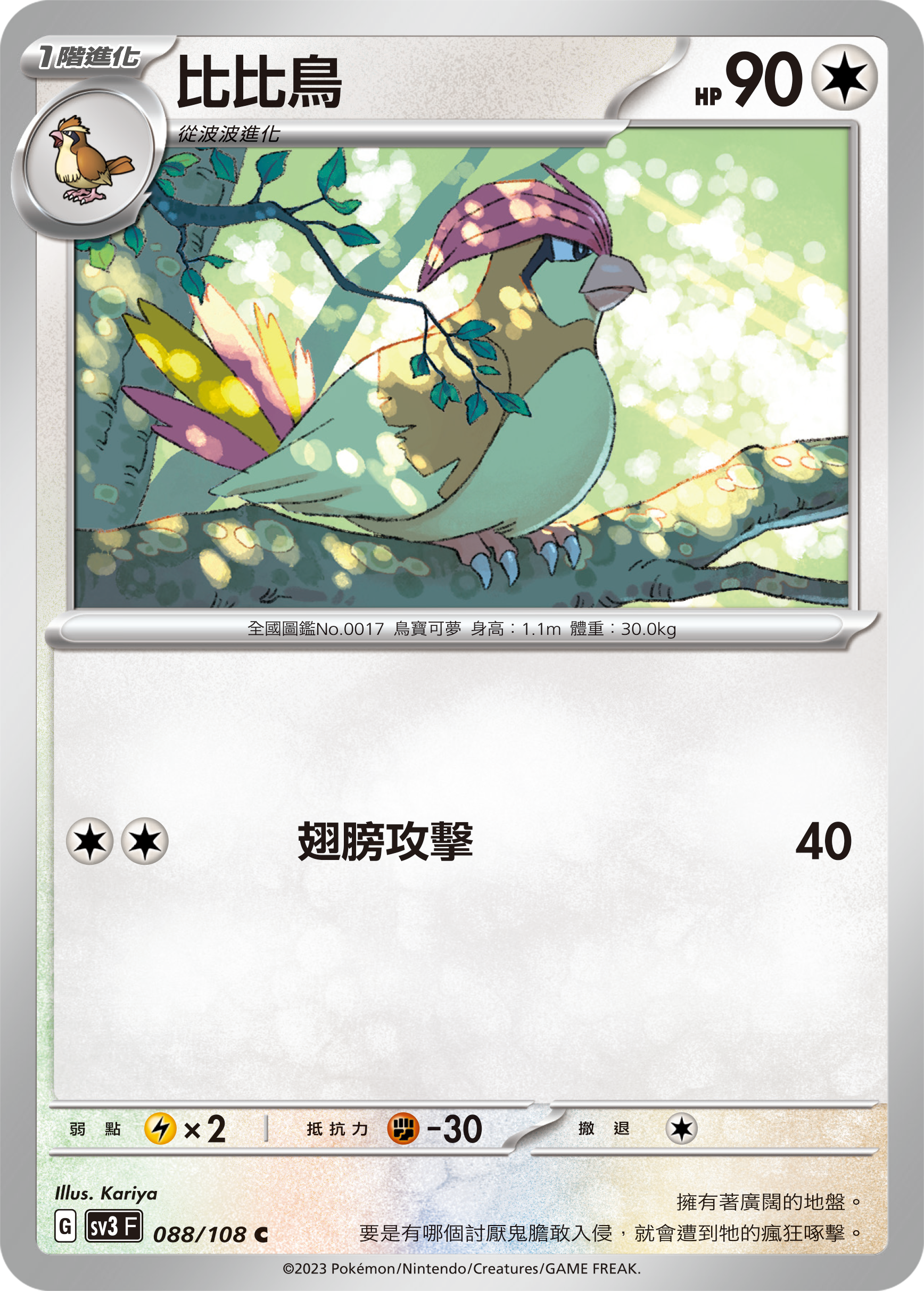 比比鳥