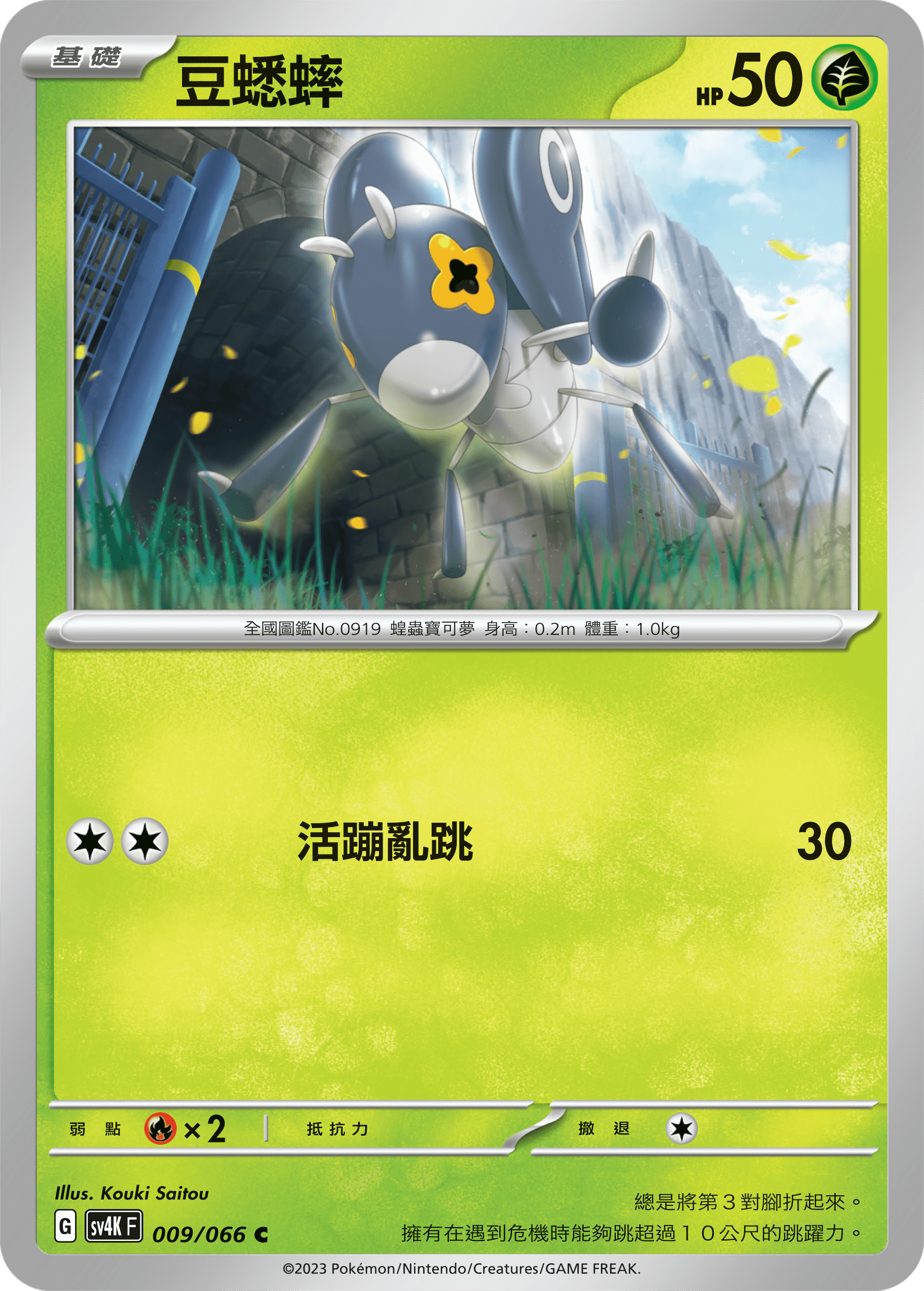 豆蟋蟀
