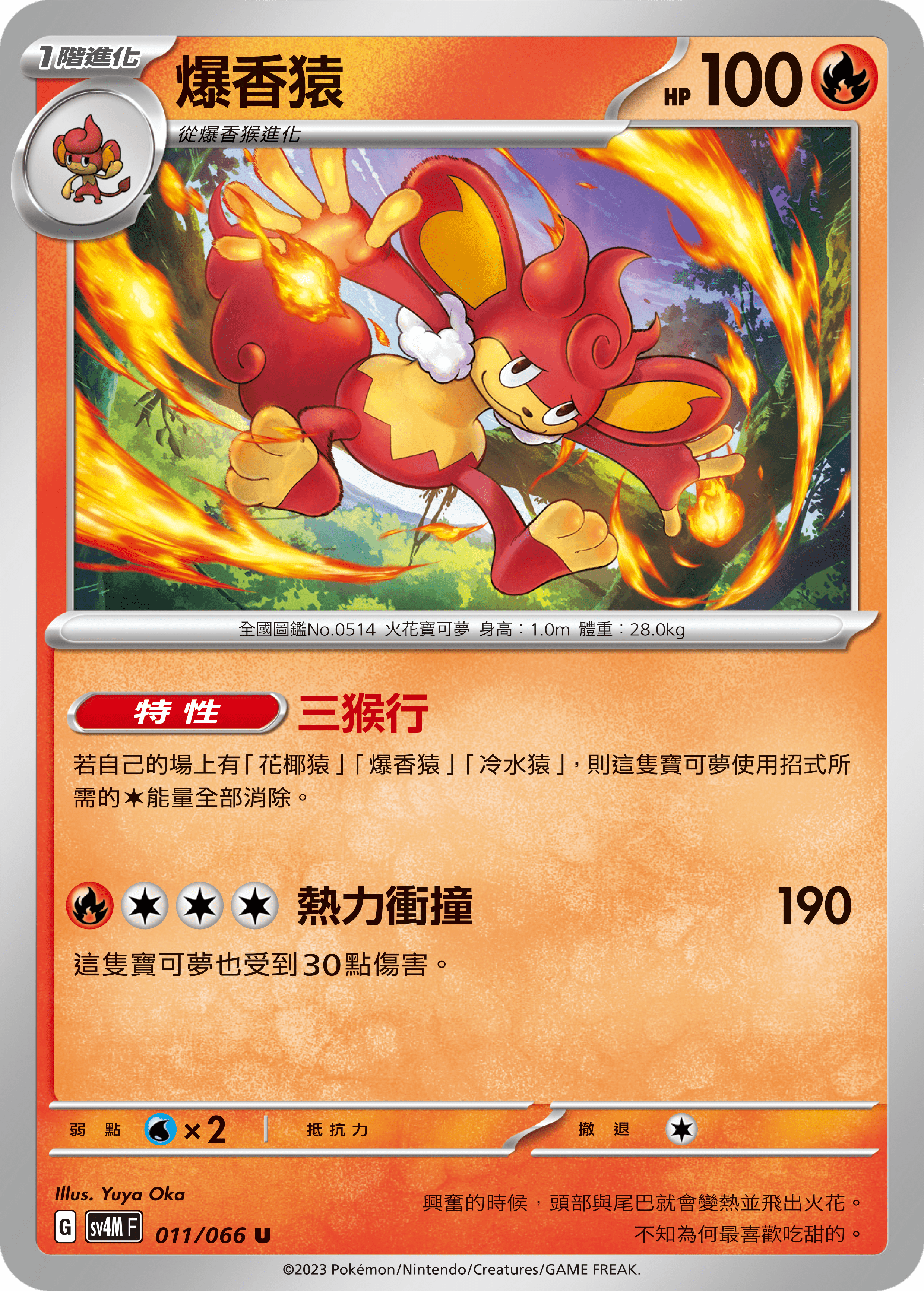 爆香猿
