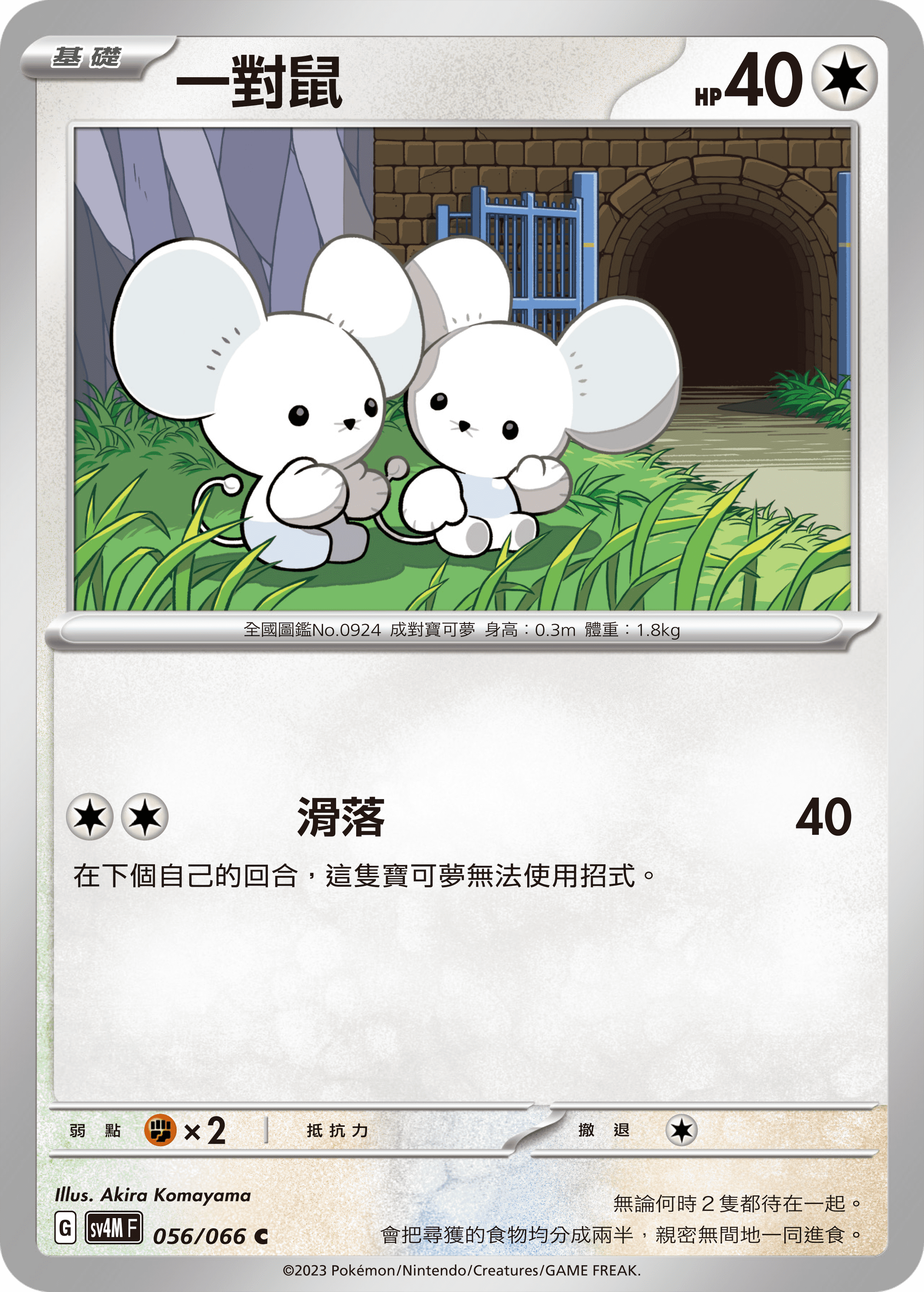 一對鼠