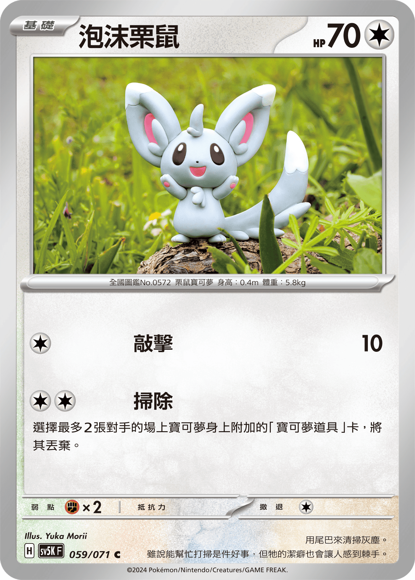 泡沫栗鼠