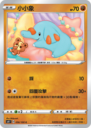 小小象