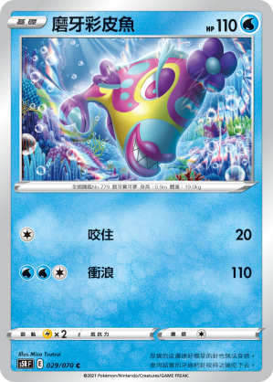 磨牙彩皮魚
